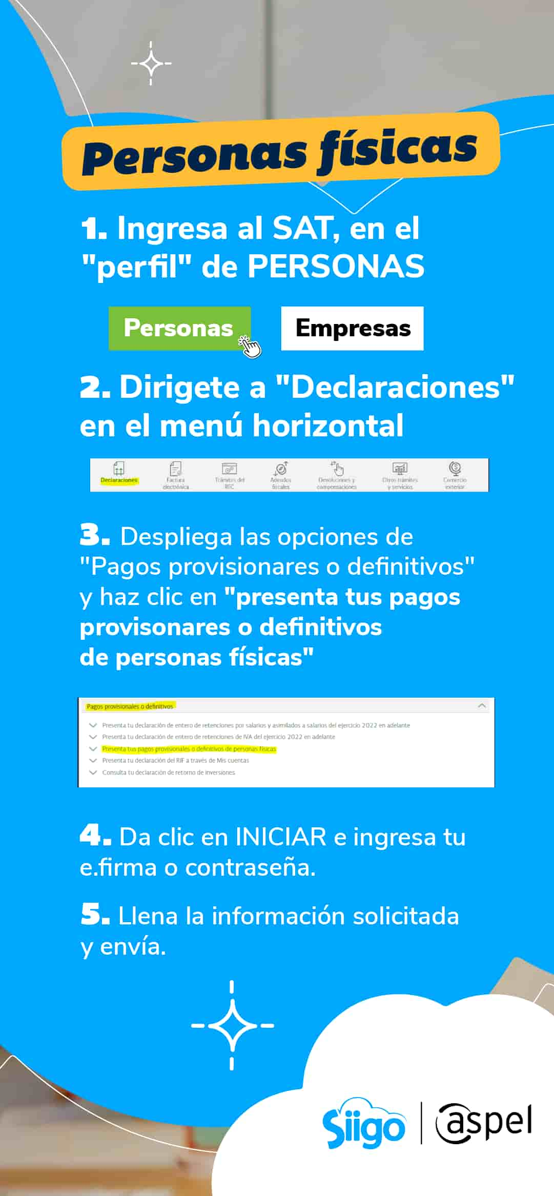 Pasos para las declaraciones mensuales de personas físicas