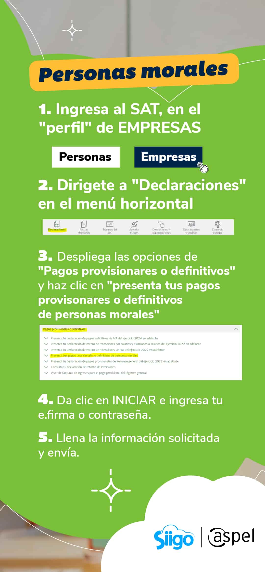 pasos para hacer la declaración mensual de personas morales