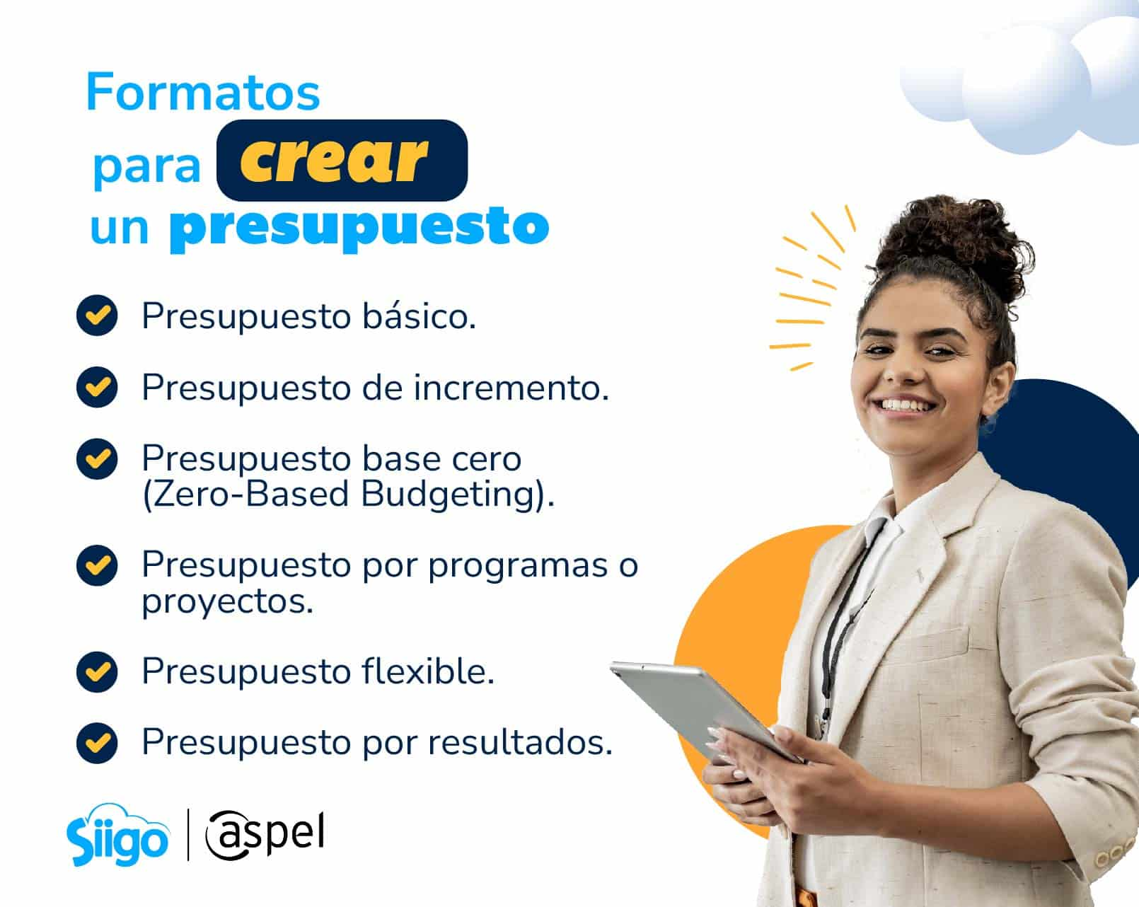 formatos básicos para un presupuesto anual