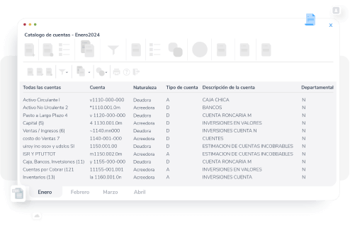 Catálogo de cuentas personalizado